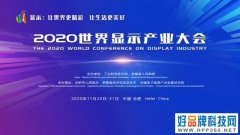 七大亮点精彩纷呈 2020世界显示产业大会等你来