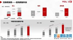 TCL电子2020年财报：互联网业务雷鸟科技收入同比增长74%