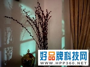 真实体验OPPO Find X5 Pro一个月 夜景影像超乎我想象