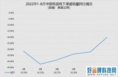 2022H1 ZDC：大尺寸化趋势已见天花板 Top10品牌格局生变