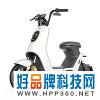 绿源48V16A长续航新国标电动自行车通勤代步电动车 NFC解锁  液冷电机 LIVA6 幻彩白 哑光（ 下单后7天内发货）