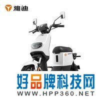 雅迪电动车DE1新国标电动自行车可上牌48V24Ah锂电电动车百公里长续航男/女款电瓶车星空白