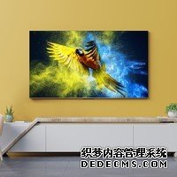 TCL 75V6E 75英寸 MEMC运动防抖 4K超薄金属全面屏 2+16GB 低蓝光护眼 AI语音液晶智能平板电视机