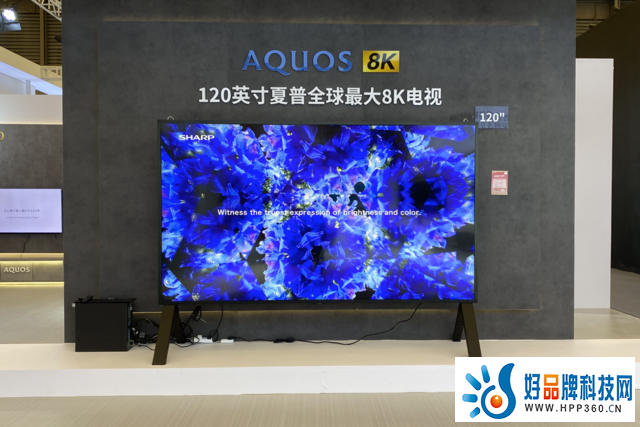 “8K、XLED”核心技术亮相AWE2023 夏普高端化产品一展锋芒