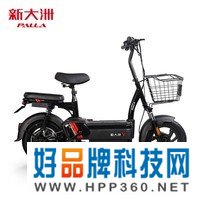 PALLA电动车新国标电瓶车48V20AH高续航男女成人通用代步车外卖两轮电动自行车 K6 油光哑黑