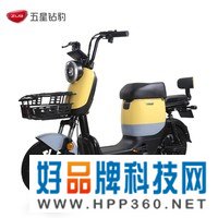 五星钻豹电动车 48V24AH锂电池电瓶车新国标男女成人长续航代步车两轮电动自行车 B3 plus 糖果黄/天鹅灰