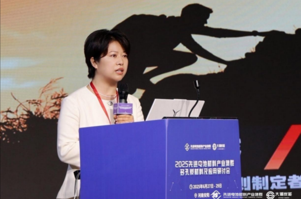 2025先进电池材料产业集群-多孔炭材料及应用研讨会