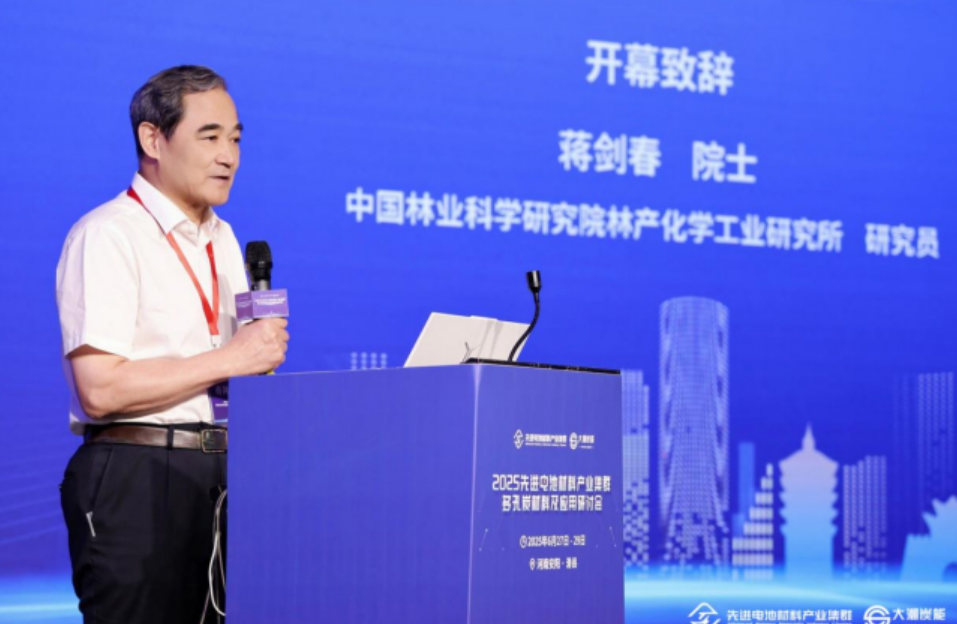 2025先进电池材料产业集群-多孔炭材料及应用研讨会